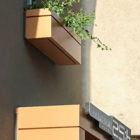 Boutique 25h By Eva 018